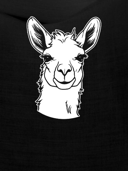 Lama Llama