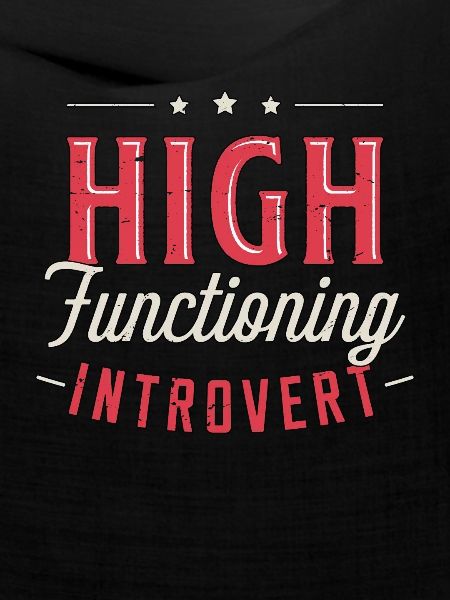 Introvert High Functioning Introverted Personality