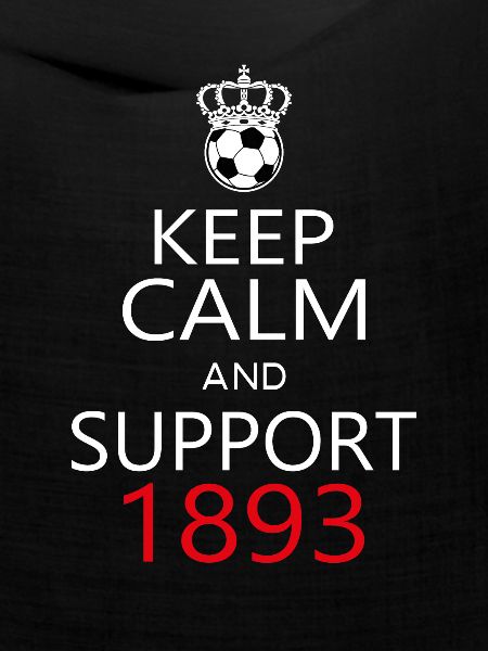 Support 1893