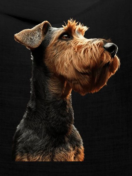 Airedale Terrier