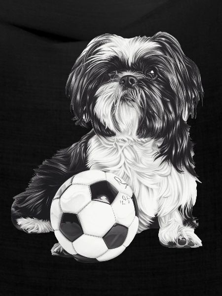 Shih Tzu