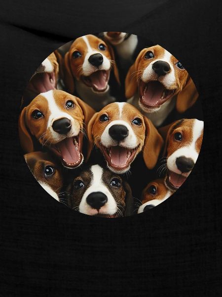 Beagle