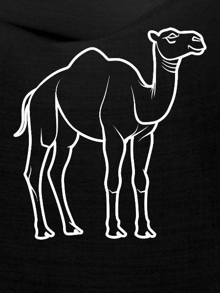 Kamel
