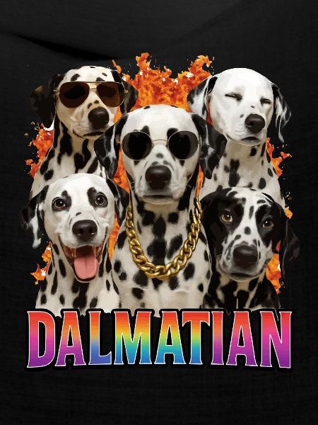 Dalmatiner