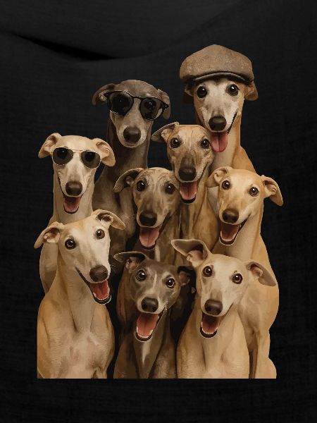 Windhund