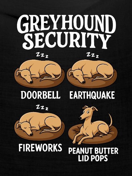 Windhund Greyhound