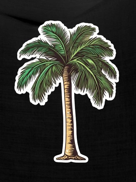 Palme