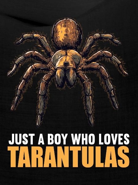Taranteln Tarantel