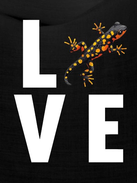 Feuersalamander Salamander