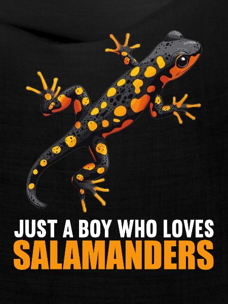 Feuersalamander Salamander