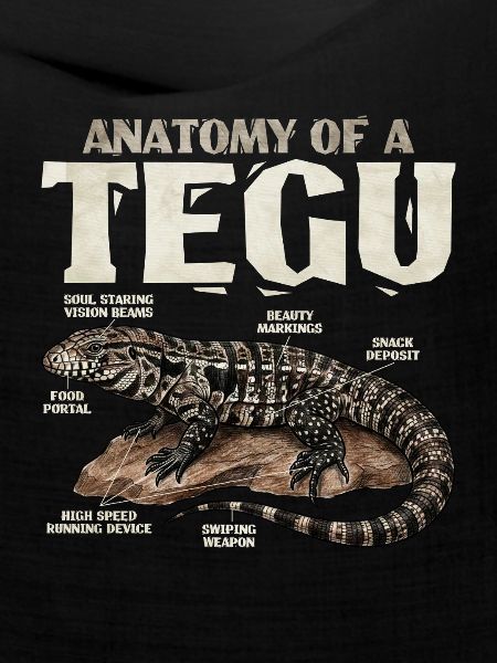 Die Anatomie eines Tegus