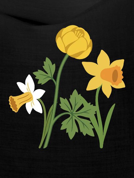 Blumen · Bunte Narzisse