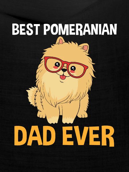Zwergspitz Pomeranian Papa