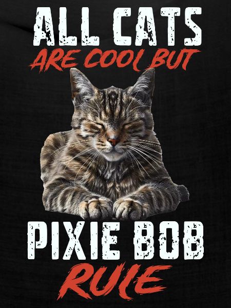 Pixie bob