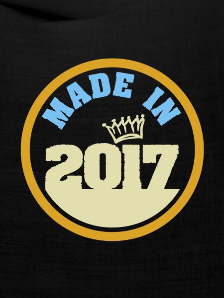Made in 2017