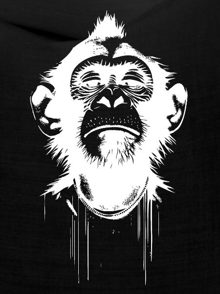 Monkey President