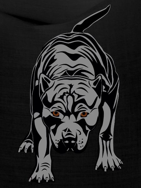 Pitbull