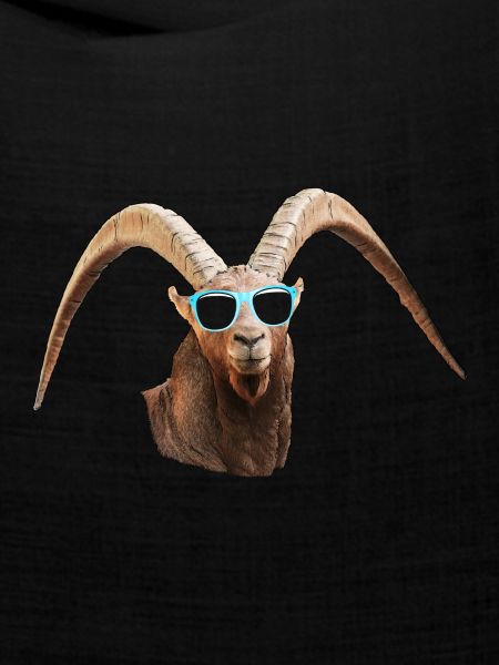 angesagter Steinbock
