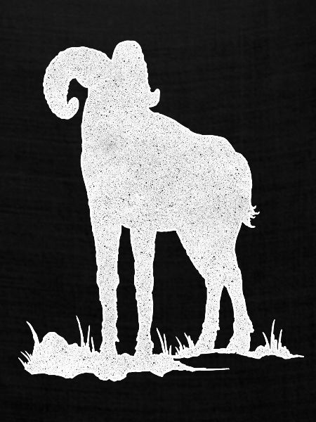 Steinbock