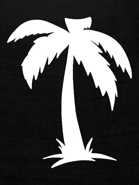 Palme Palm