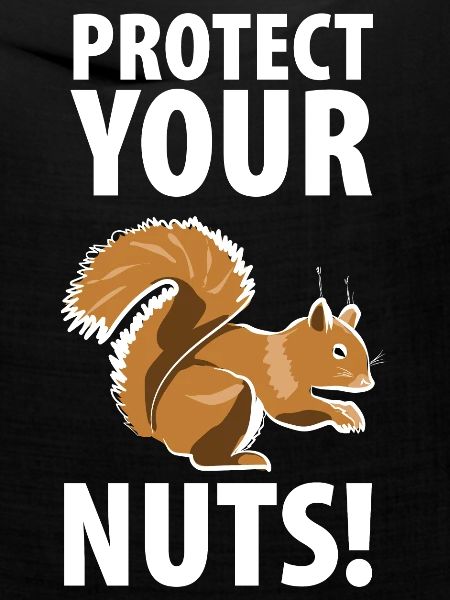 Squirrel Eichhörnchen Dieb Tierpfleger