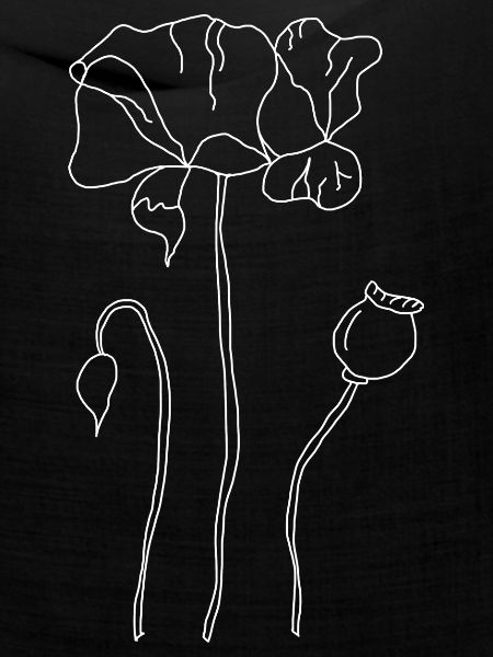 Mohnblume