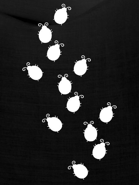 Bug Race