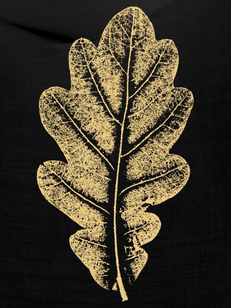Eichenblatt - Khaki- Blatt/ Eiche/ Baum