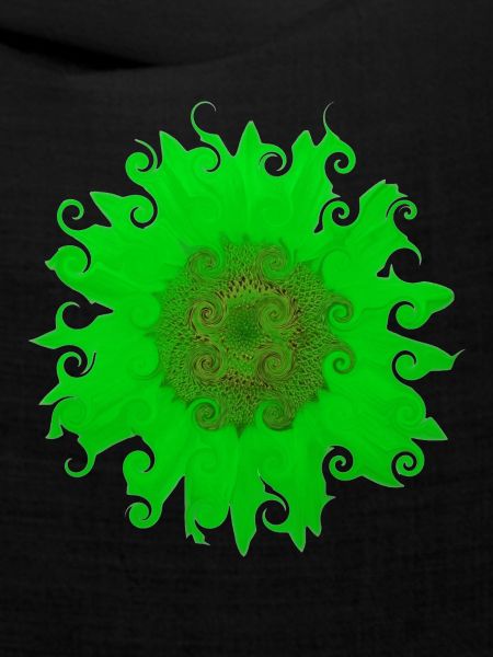 Sonnenblume