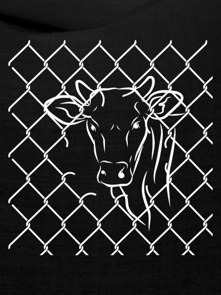 Animal Rights