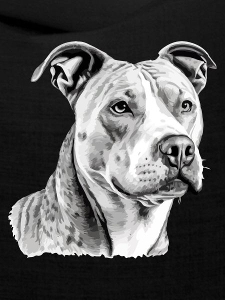 Jack der Pitbull