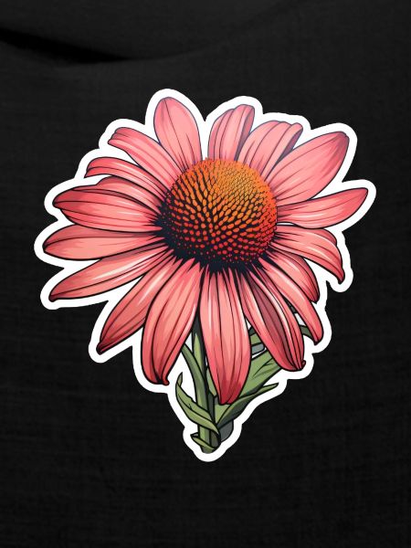 Echinaceablüte
