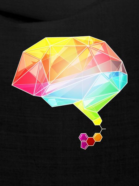 lsd brain