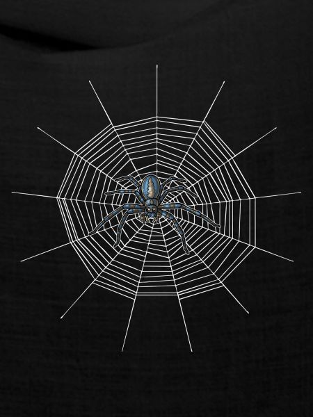Spinnennetz