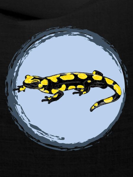 Feuersalamander / Fire Salamander II