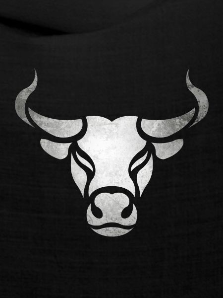 Stier Bulle