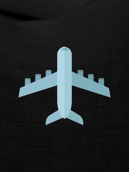 Flugzeug