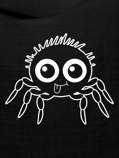 Spinne Spinnen Tiere