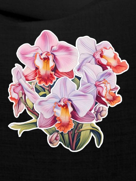 Orchidee