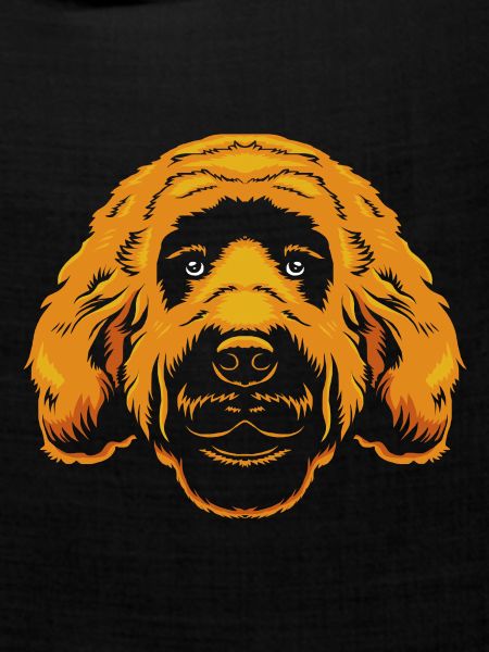 Goldendoodle