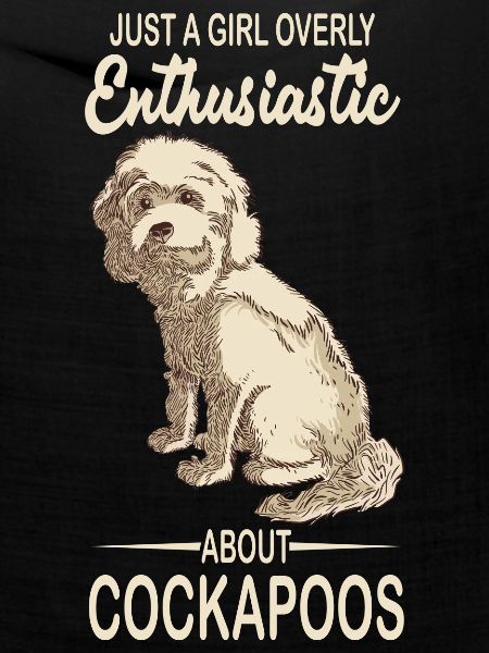 Cockapoo