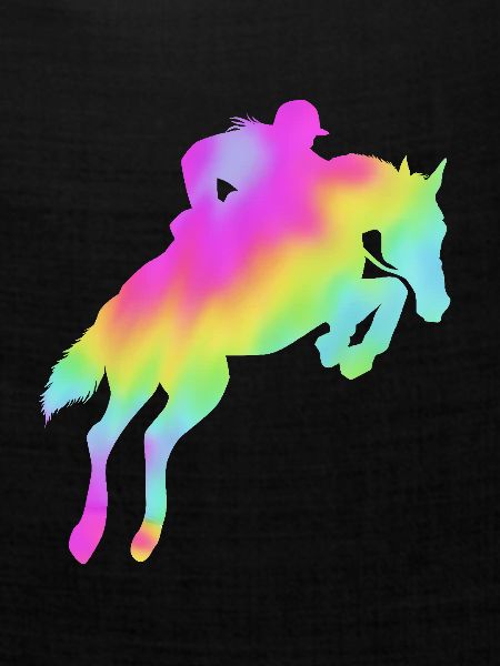 Springreiten Springpferd