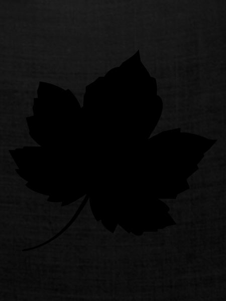leaf