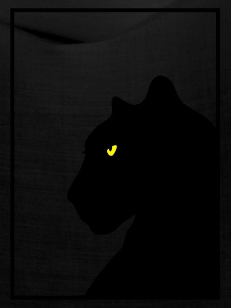 Panther black frame