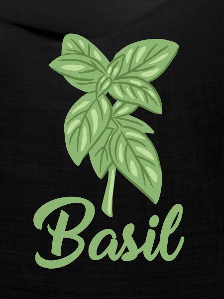 Basilikum