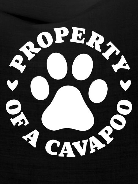 Eigentum eines Cavapoo