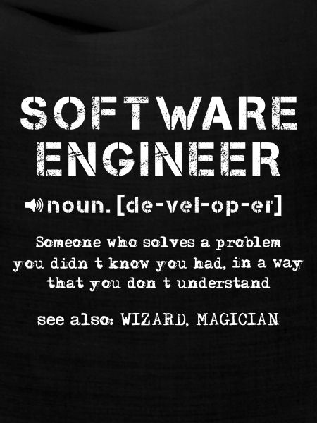 Software-Ingenieur Definition