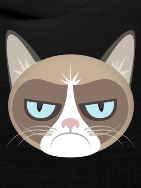 Grumpy Cat