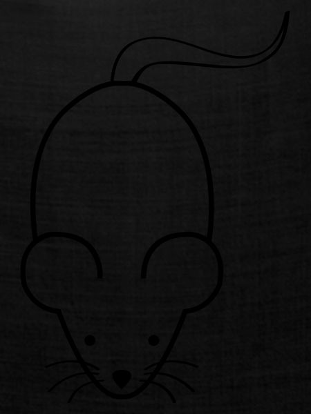 maus