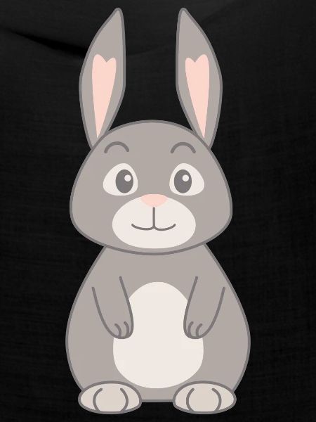 Hase